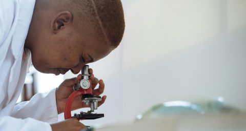 pexels-rethaferguson-3825541